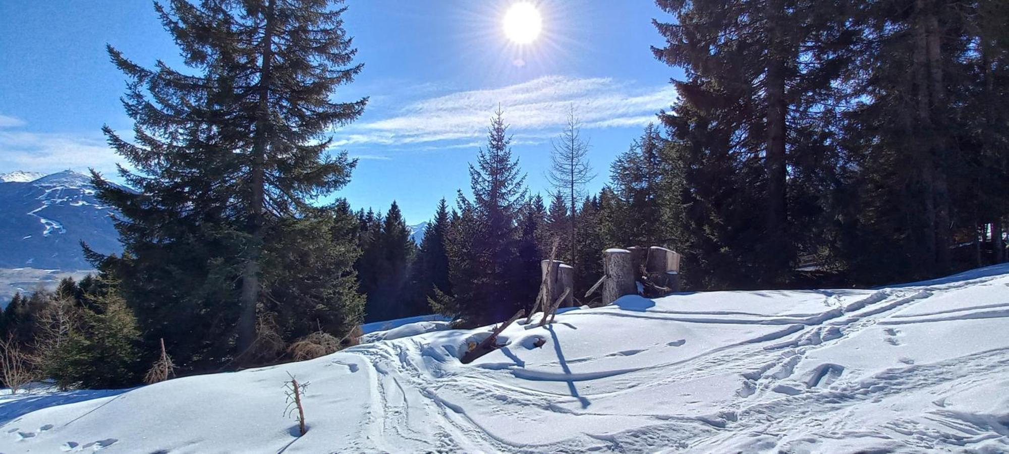 Apartmán Goetzner Auszeit *